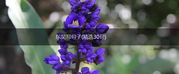 东吴写句子(精选30句),第1张