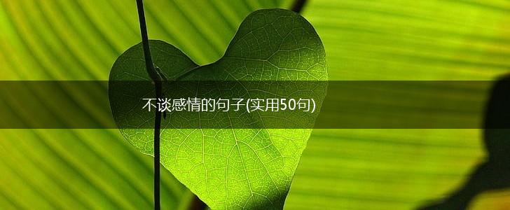 不谈感情的句子(实用50句),第1张