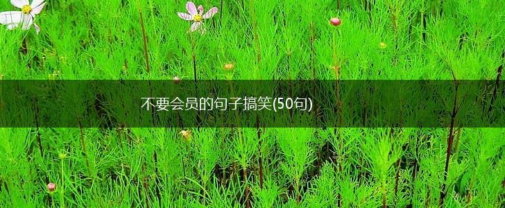 不要会员的句子搞笑(50句),第1张