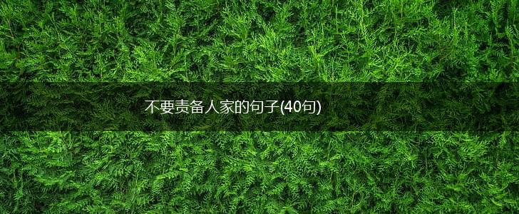 不要责备人家的句子(40句),第1张