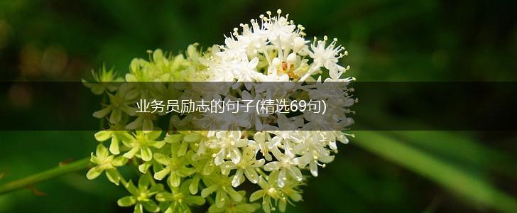 业务员励志的句子(精选69句),第1张