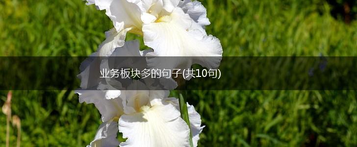 业务板块多的句子(共10句),第1张