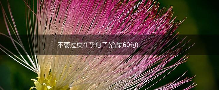 不要过度在乎句子(合集60句),第1张