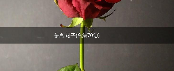 东宫 句子(合集70句),第1张