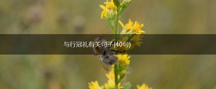 与行冠礼有关句子(40句),第1张