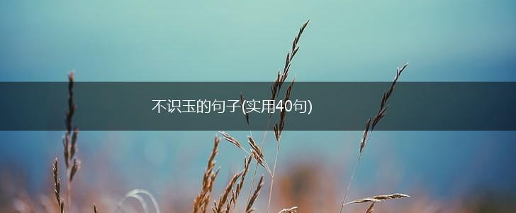 不识玉的句子(实用40句),第1张