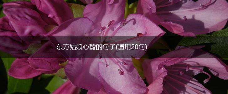 东方姑娘心酸的句子(通用20句),第1张