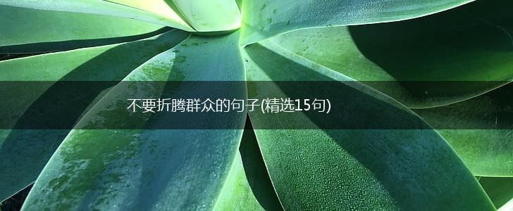 不要折腾群众的句子(精选15句),第1张
