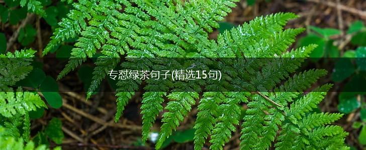 专怼绿茶句子(精选15句),第1张