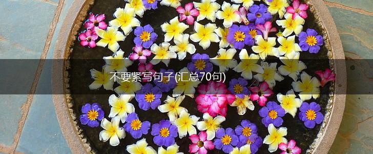 不要紧写句子(汇总70句),第1张