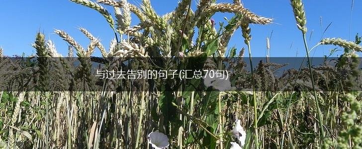 与过去告别的句子(汇总70句),第1张