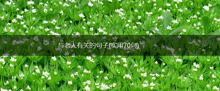 与老人有关的句子(实用70句),第1张