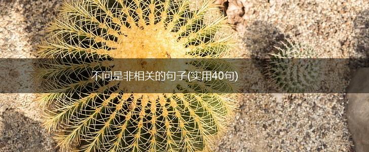 不问是非相关的句子(实用40句),第1张