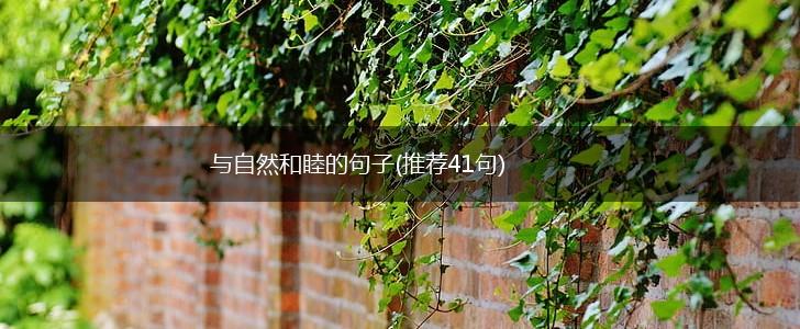 与自然和睦的句子(推荐41句),第1张