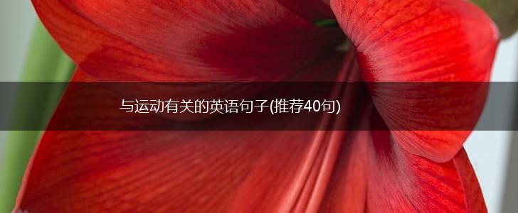 与运动有关的英语句子(推荐40句),第1张