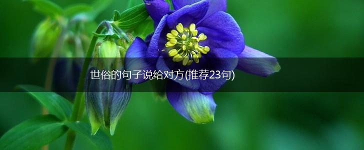 世俗的句子说给对方(推荐23句),第1张