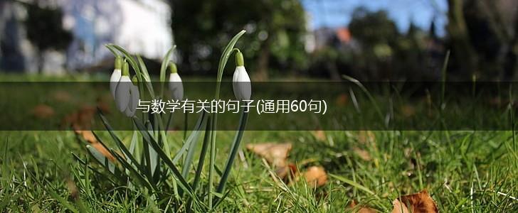 与数学有关的句子(通用60句),第1张