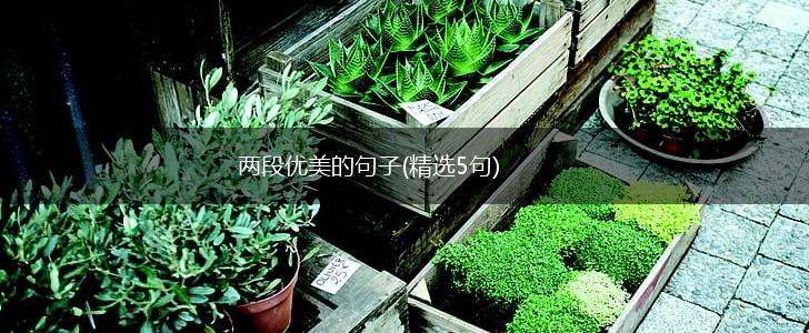 两段优美的句子(精选5句),第1张