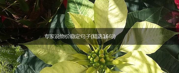 专家说物价稳定句子(精选16句),第1张