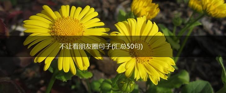 不让看朋友圈句子(汇总50句),第1张
