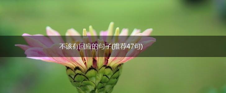 不该有回应的句子(推荐47句),第1张