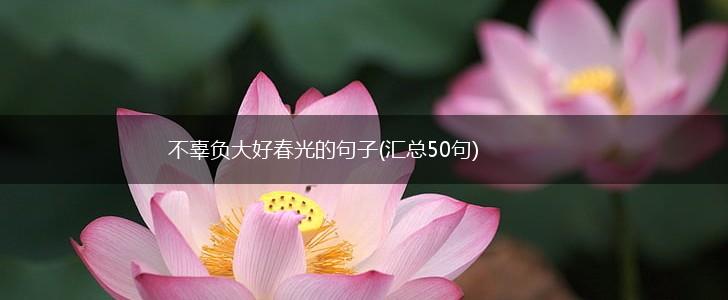 不辜负大好春光的句子(汇总50句),第1张