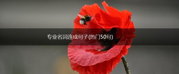 专业名词连成句子(热门50句),第1张