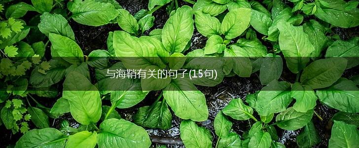 与海鞘有关的句子(15句),第1张