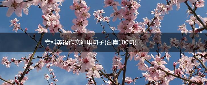专科英语作文通用句子(合集100句),第1张