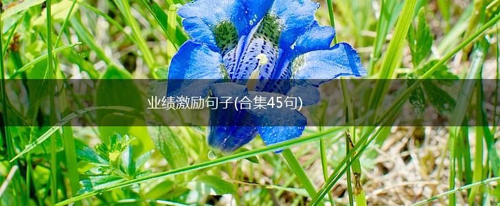 业绩激励句子(合集45句),第1张