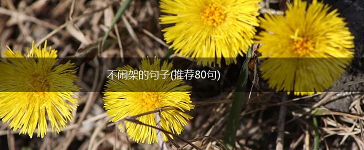 不闹架的句子(推荐80句),第1张