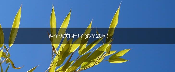 两个优美的句子(必备20句),第1张