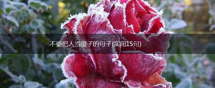 不要把人当傻子的句子(实用15句),第1张