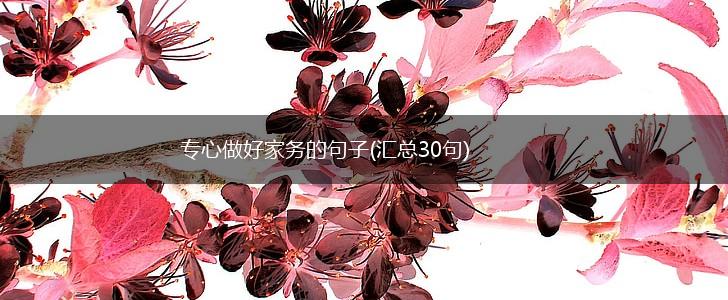专心做好家务的句子(汇总30句),第1张