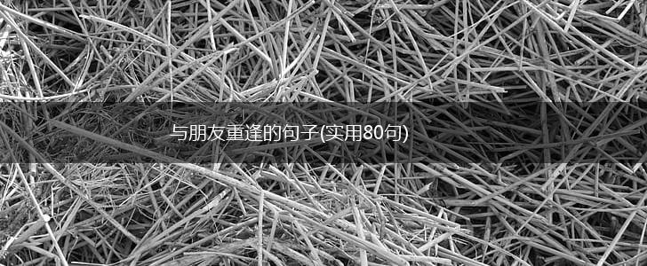 与朋友重逢的句子(实用80句),第1张