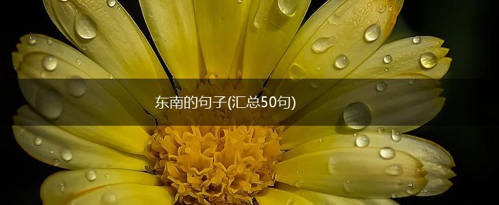 东南的句子(汇总50句),第1张