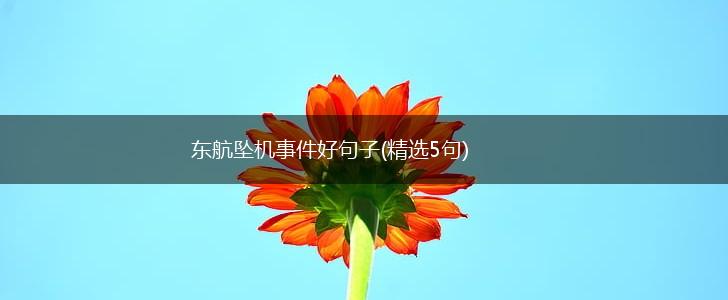 东航坠机事件好句子(精选5句),第1张