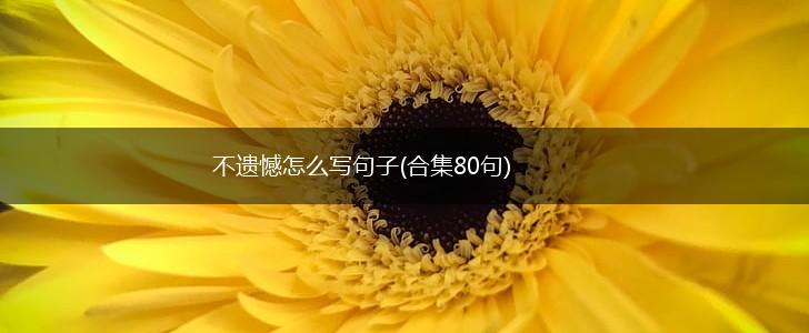 不遗憾怎么写句子(合集80句),第1张