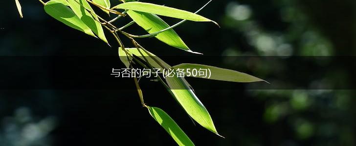 与否的句子(必备50句),第1张