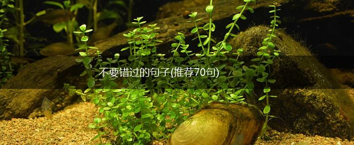 不要错过的句子(推荐70句),第1张