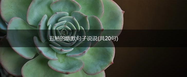 丑陋的幽默句子说说(共20句),第1张