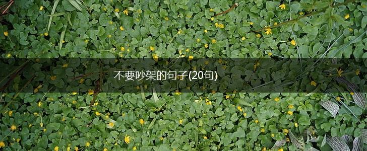 不要吵架的句子(20句),第1张