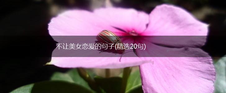 不让美女恋爱的句子(精选20句),第1张