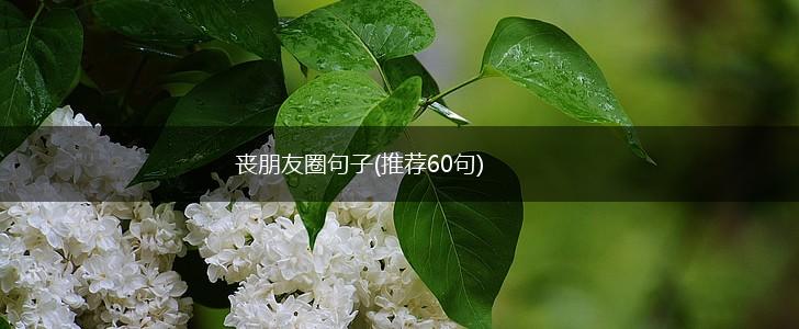 丧朋友圈句子(推荐60句),第1张
