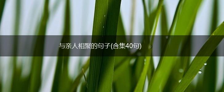 与亲人相聚的句子(合集40句),第1张