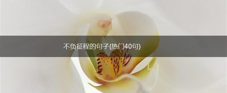 不负征程的句子(热门40句),第1张
