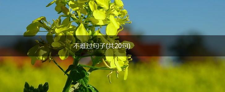 不难过句子(共20句),第1张