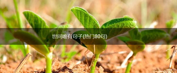 世间唯有句子(热门80句),第1张