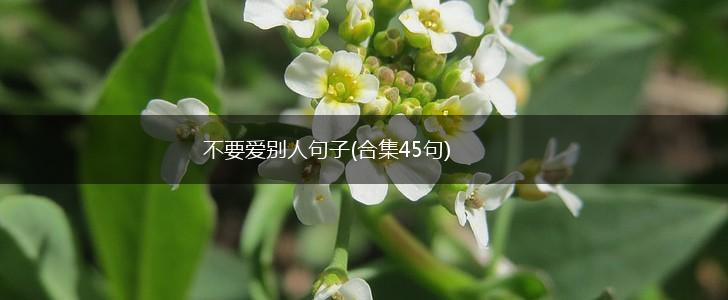 不要爱别人句子(合集45句),第1张