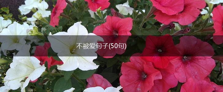 不被爱句子(50句),第1张